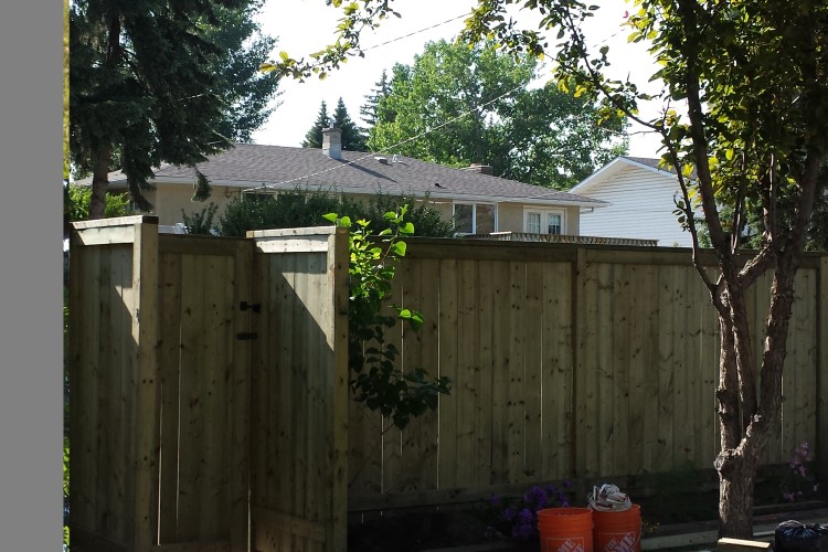 Fence Replacement